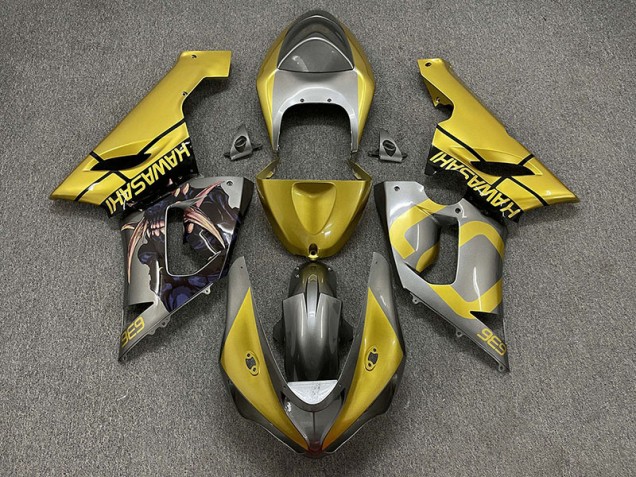 Gold and Silver 2005-2006 Kawasaki ZX6R Motorcycle Fairing